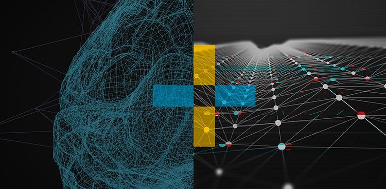 fe13f69f1c9da1baa59afca06d89cb20-7880258