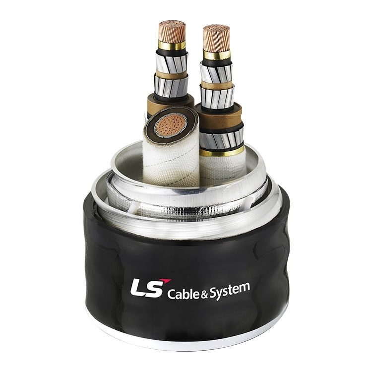 961309ced8fdf9eca2671a761879db18-4687766