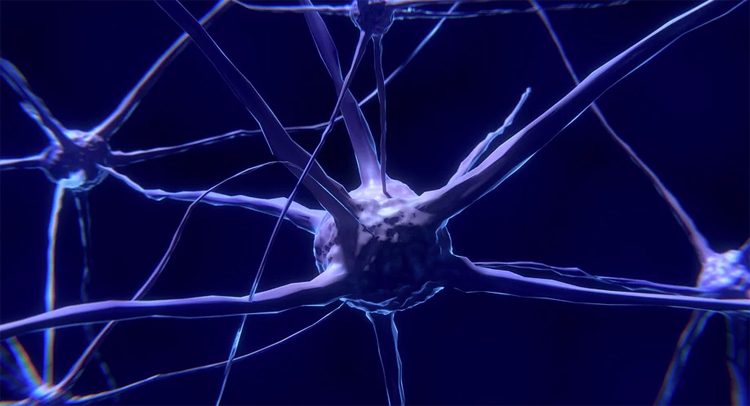 101b8074fd403b754b83204ec714c29b-4653421