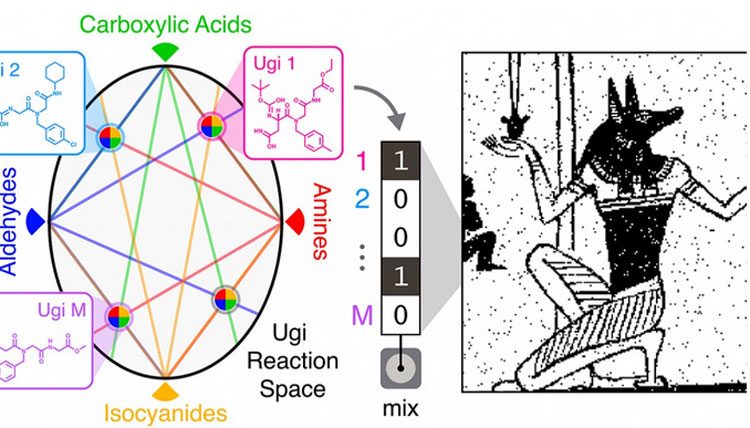 75520369d13ac95a4ce87c032e62b863-8495649