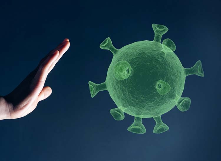 bc9bee3181b367902f75bfee128438fb-5535573