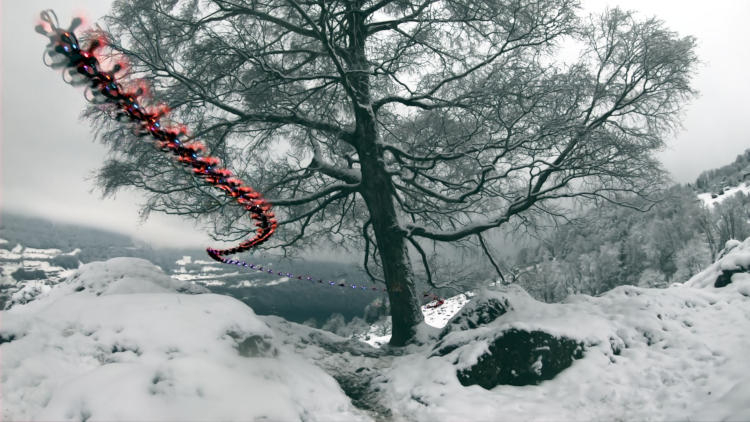 Источник: media.uzh.ch