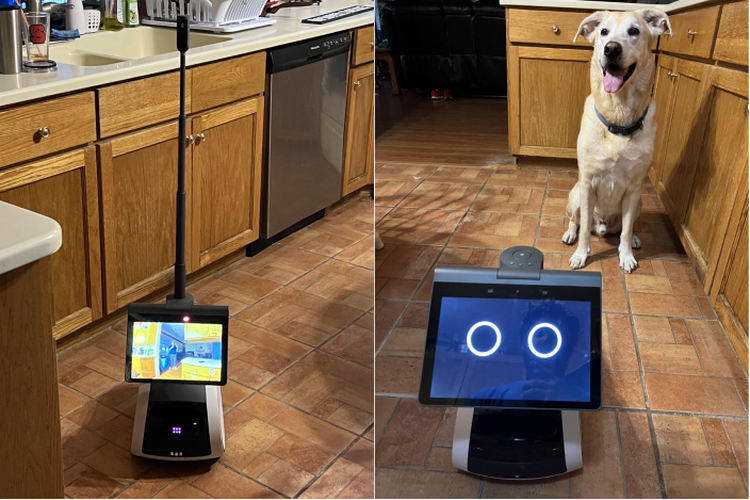 Источник изображения: Matthew Nereim