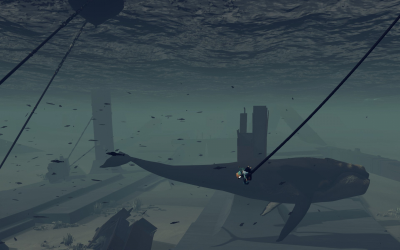 Возможность понырять с крупными морскими млекопитающими — отдельная радость