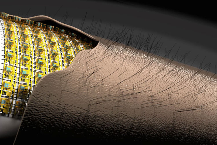 Deutsche Wissenschaftler haben eine elektronische „Haut“ geschaffen – sie nimmt Berührungen fast wie eine echte wahr